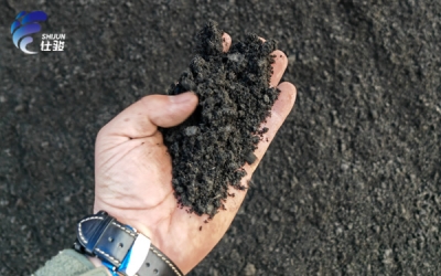 污泥減量化已成硬性要求,傳統脫水工藝逐步淘汰,新方案順勢突圍