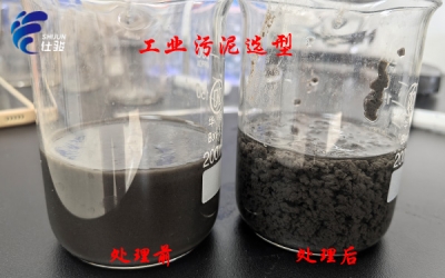 污泥脫水提質增效:普通藥劑與仕駿污泥增效劑效果實測對比