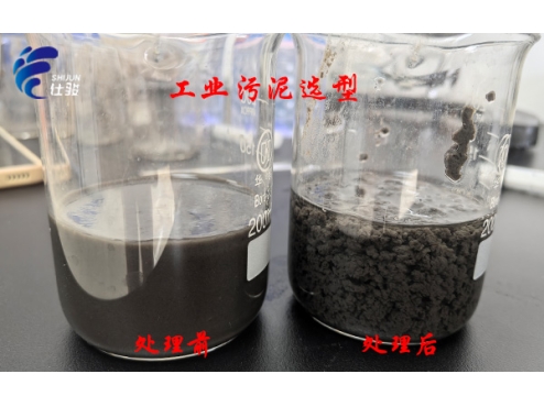 污泥脫水提質增效:普通藥劑與仕駿污泥增效劑效果實測對比